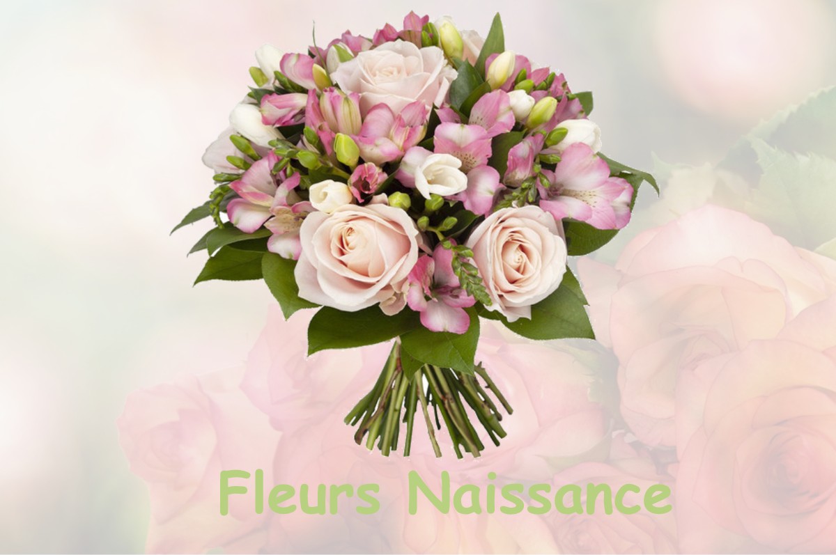 fleurs naissance SAINT-MARTIN-DE-BERNEGOUE